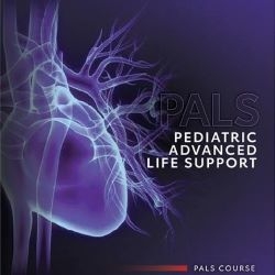 American Heart Association PALS